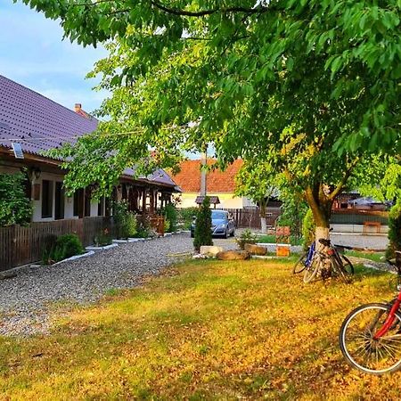 La Romaneasa Săpînţa Екстериор снимка
