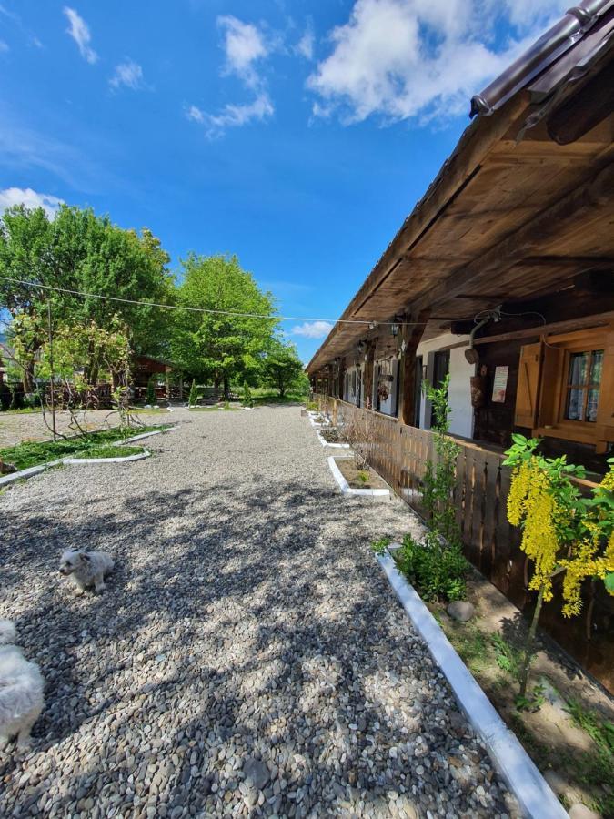 La Romaneasa Săpînţa Екстериор снимка