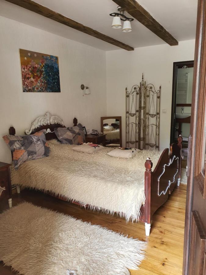 La Romaneasa Săpînţa Екстериор снимка