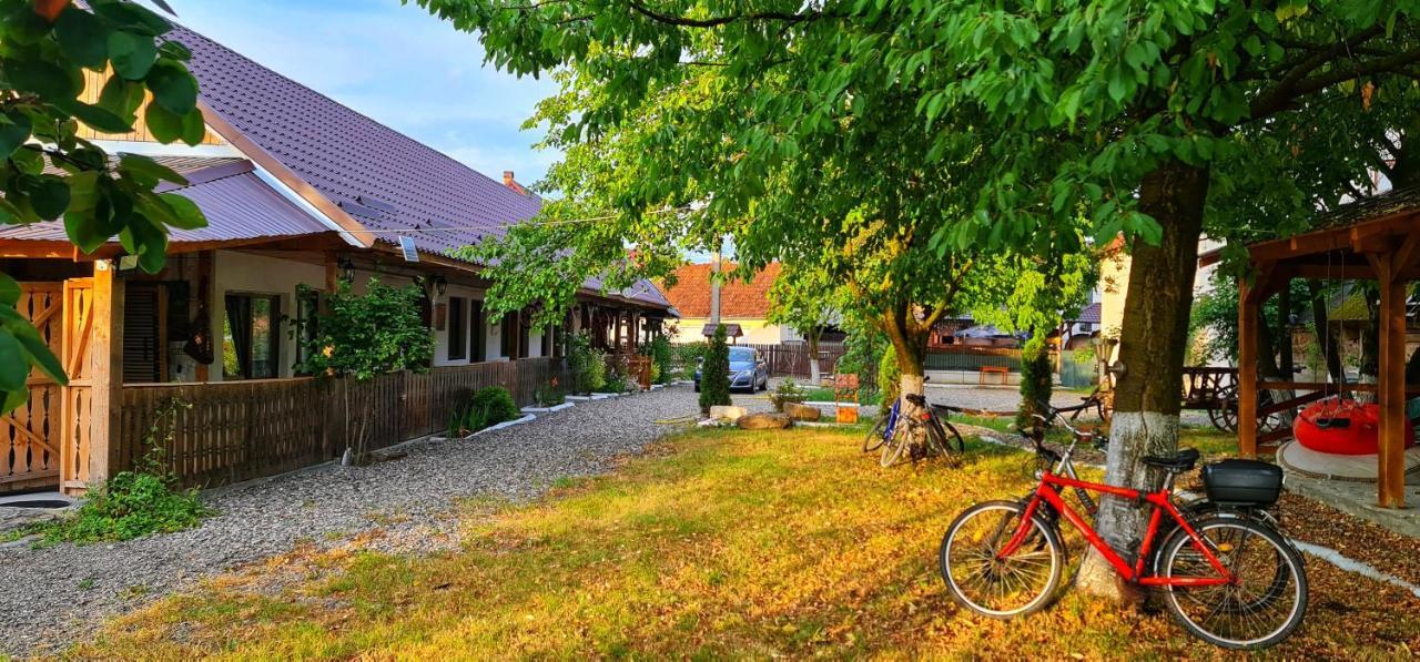 La Romaneasa Săpînţa Екстериор снимка