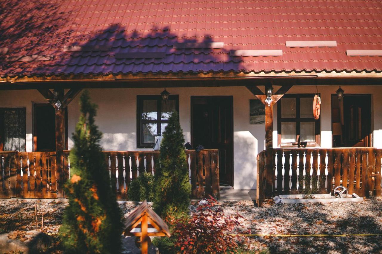 La Romaneasa Săpînţa Екстериор снимка