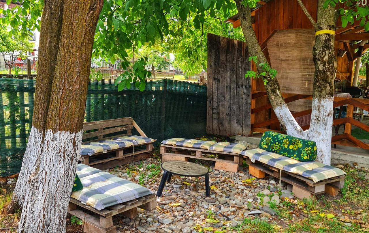 La Romaneasa Săpînţa Екстериор снимка